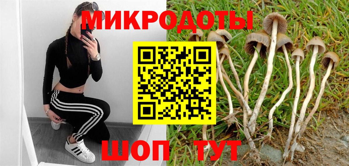 Галлюциногенные грибы Cubensis Великий Новгород