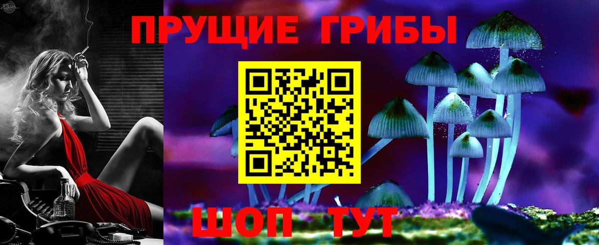 Псилоцибиновые грибы прущие грибы  Галлюциногенные грибы ЛСД  Вход с VPN  где можно купить наркотик  Великий Новгород 