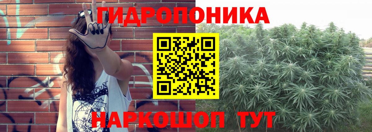 Канабис VHQ  Вход с VPN  МАРИХУАНА сатива  Бошки марихуана планчик  Великий Новгород 